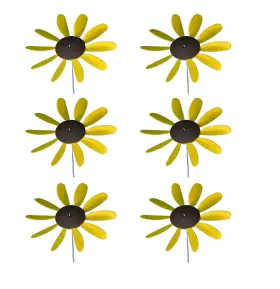 Daisy6sunflower Austin Planter Beloit Plastics 12 Inch Diameter Sunflowers/daisy 6 Pack 24 Tall Pinwheel And