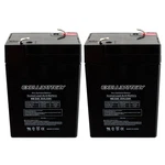 Exell 2 Pack 6V 4.5AH PS-640, PS640F1, UB645 Replacement Sla Battery New. Fixed Price $50.95.