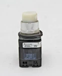 Allen-bradley 800TC-PTH16W White Pilot Light. Fixed Price $60.00.