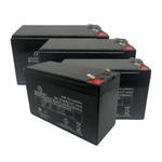 Tripp Lite SMARTINT2200VS Ups Battery Replacement Kit 12V 7AH - SMARTINT3000VS. Fixed Price $102.95.