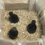 Partners Brand Vermiculite, Extra Course, Tan, 1/EACH VER4A. Fixed Price $159.61.