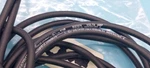 Lot Of Phoenix Contact 41VB Cables E221474 300VAC/DC 4A 55". Fixed Price $34.99.