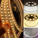 12V 2835 120LED/M IP67 Waterproof Outdoor Lighting Flexible Rope Strip. Fixed Price $219.99.