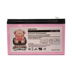 Altronix AL300ULPD8CB 12V 7AH Replacement Alarm Sla Battery. Fixed Price $19.85.